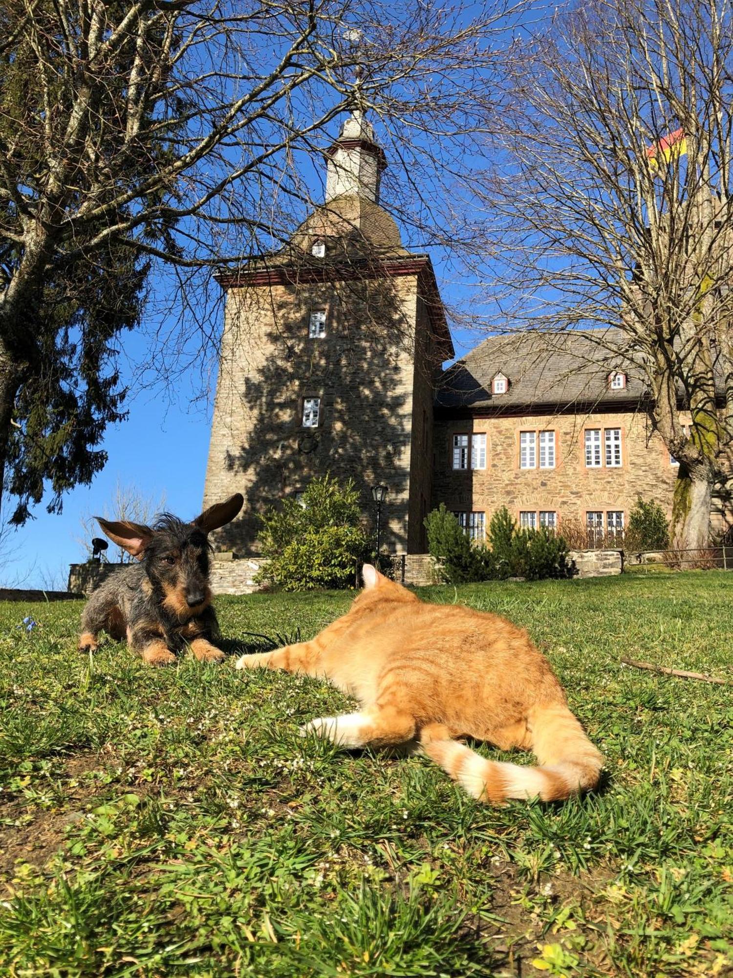 Hotel Und Restaurant Burg Schnellenberg Attendorn Luaran gambar